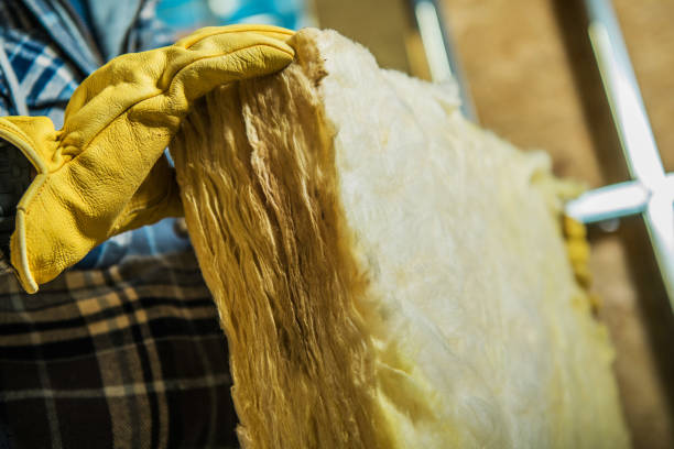 Best Residential Insulation in Princevle, IL